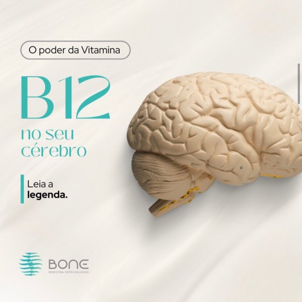 O poder da vitamina B12 para o cérebro O poder da vitamina B12 para o cérebro